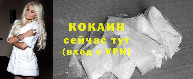 Cocaine Эквадор  МЕГА   Каргат 